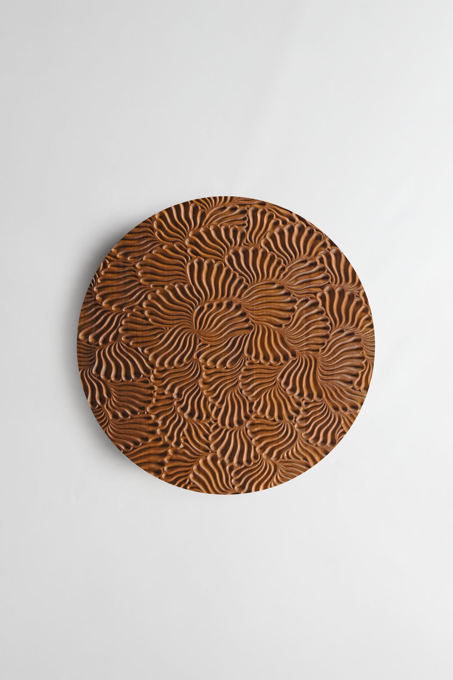 Shells iroko - Round Wood Wall Hanging