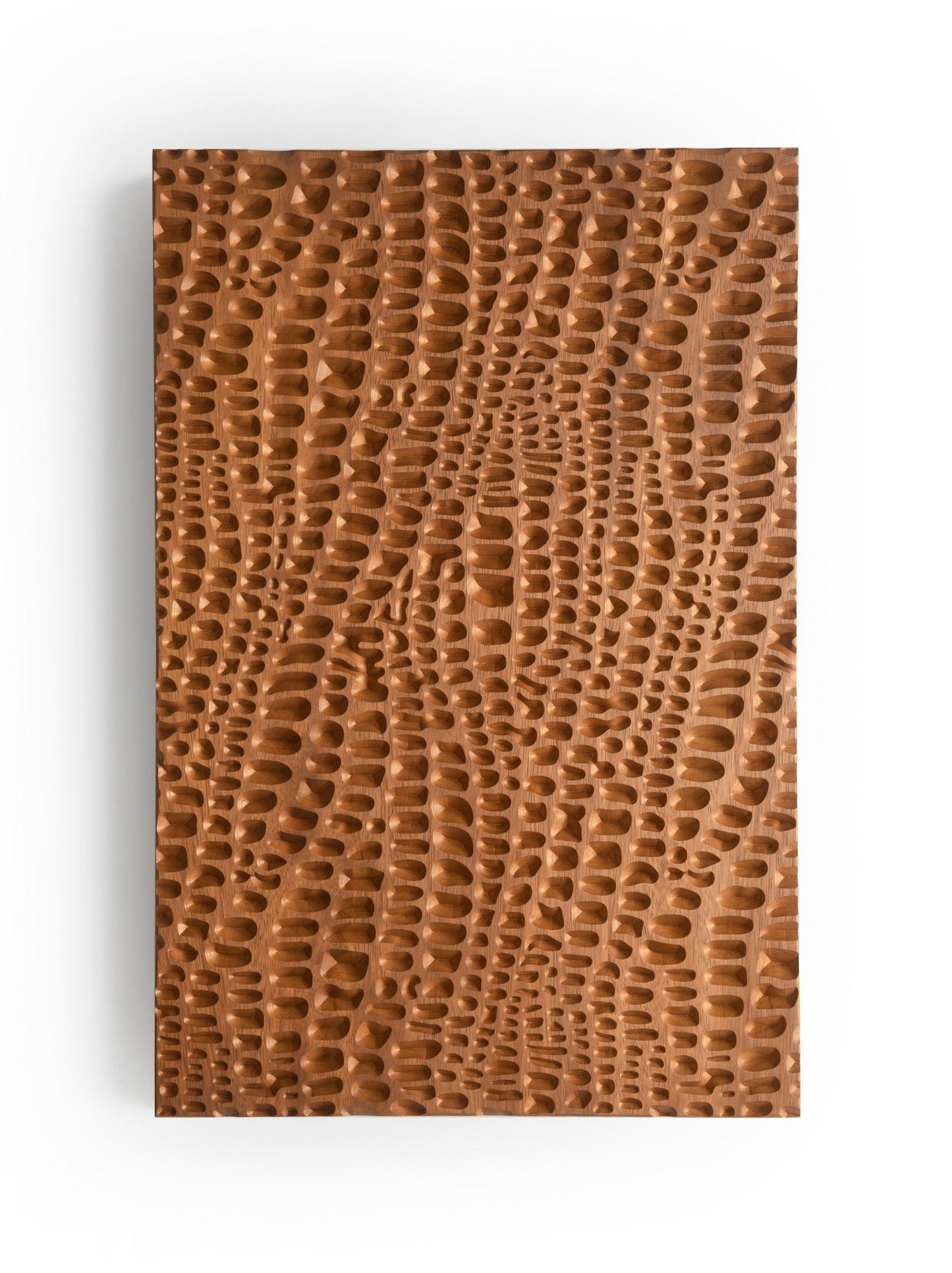 crocodile_wall geometric art in solid wood